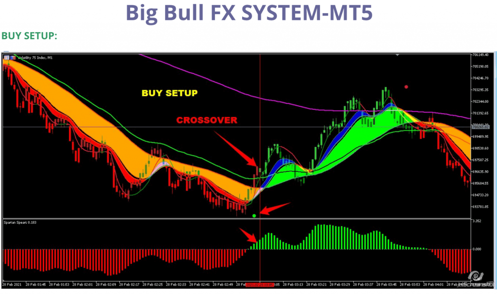 Forex Outlet Shop - Big Bull FX SYSTEM – MT5 3