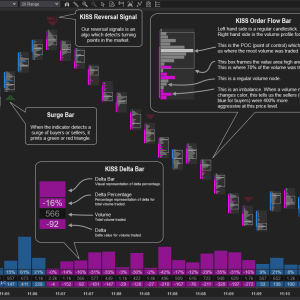 KISS Order Flow V.2113 NinjaTrader 8 1
