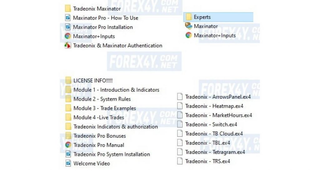 Tradeonix Pro + Maxinator Pro EA 14