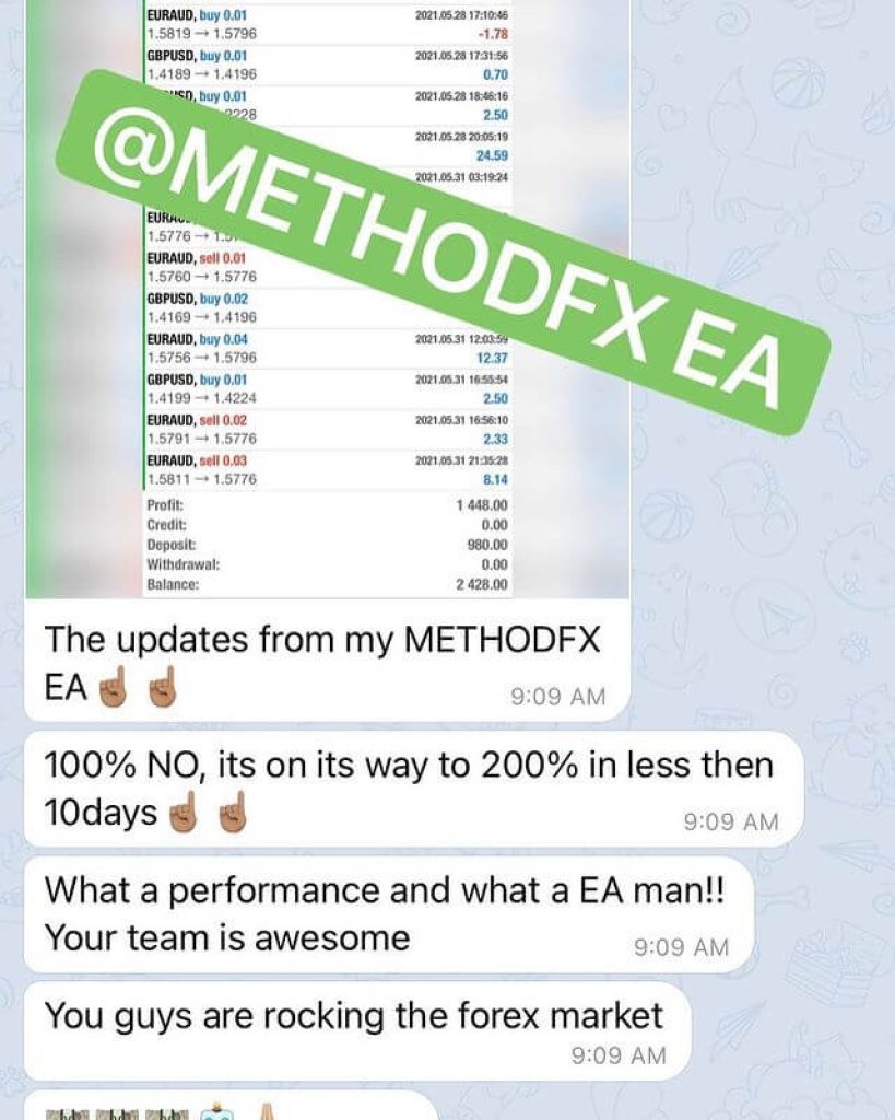 METHODFX EA v1.0 19