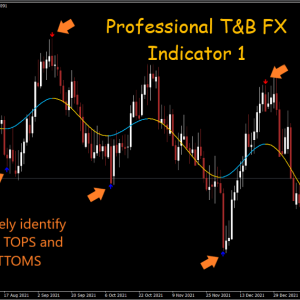 Professional T&B FX Indicator 7