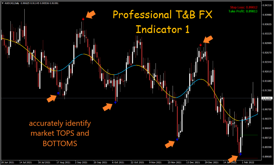 Professional T&B FX Indicator 7