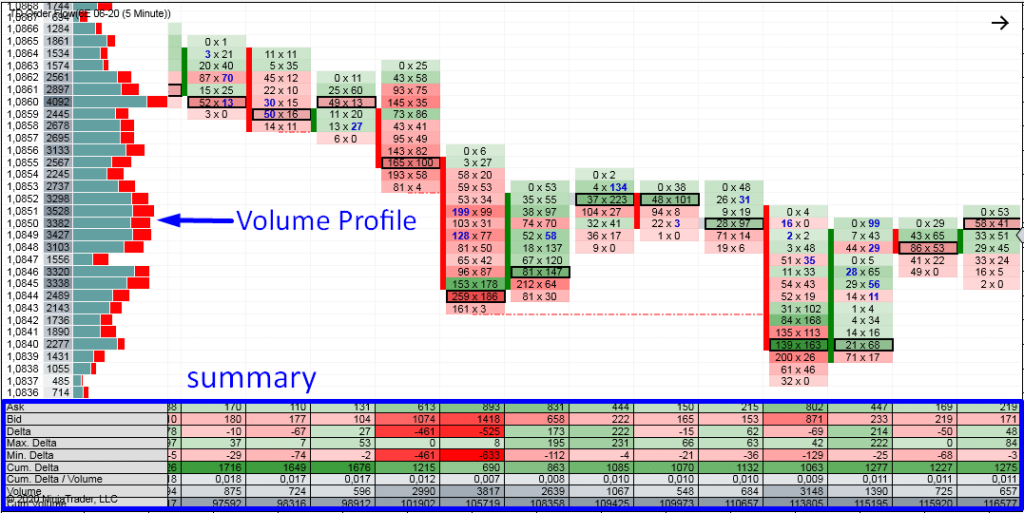Trader DALE Order Flow Indicator and Course 12