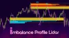 NinZaImbalanceProfileLidar NT8 Imbalance Profile Lidar NT8 1