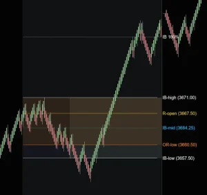 Pro Renko Chart Trading Package NT8 10