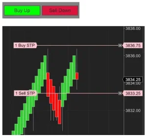 Advanced Trade Panel NT8 10