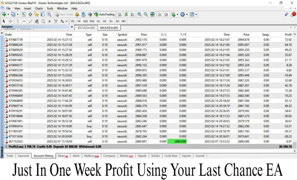 Your Last Chance EA V1.0 MT4 with set-up 5