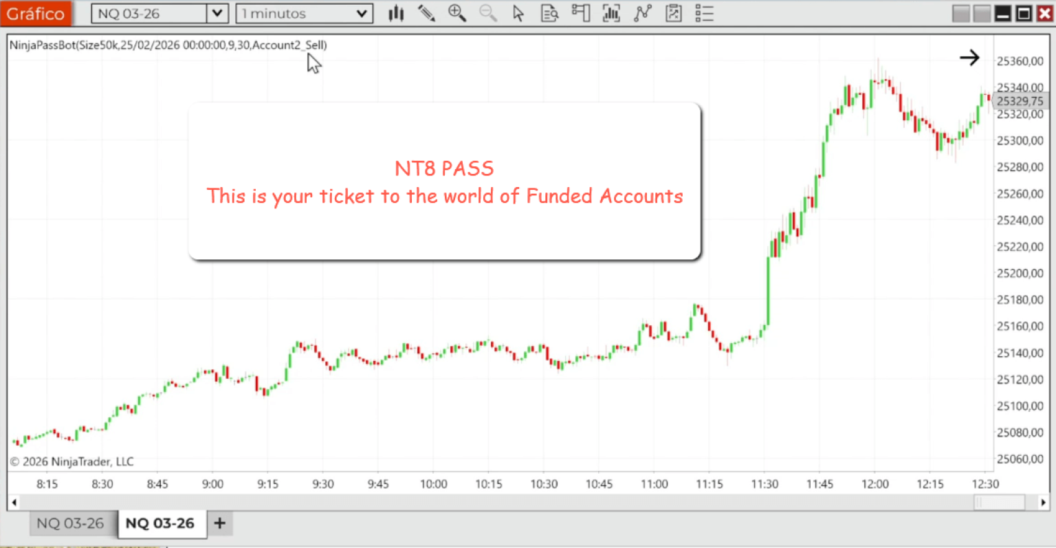NT8 PASS 6