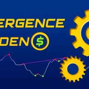NinZa Divergence Hidden$ NT8 1