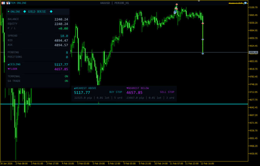 Gold House EA V2.0 MT5 9