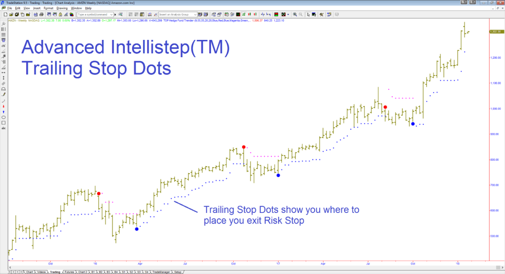 Hedge Fund Trender NT8 and other platforms 5