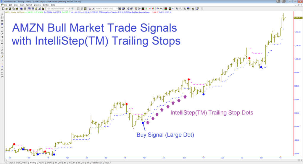 Hedge Fund Trender NT8 and other platforms 6