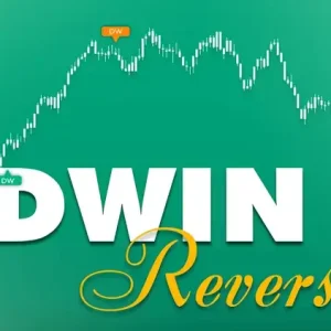 NinZa DWIN Reversal NT8 1