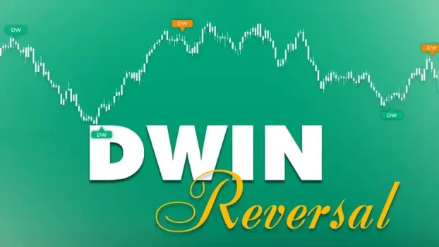 NinZa DWIN Reversal NT8 1