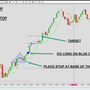 BSG Blue Chip Indicator NinjaTrader 8 1