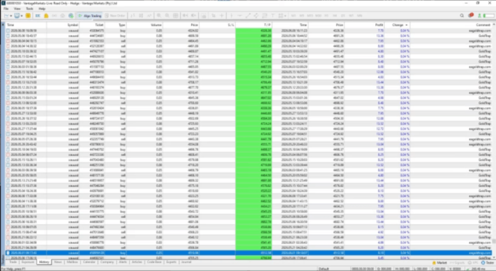 Gold Trap EA MT5 V4.24+Setfiles 6