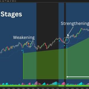 Momentum Strategy NT8 1
