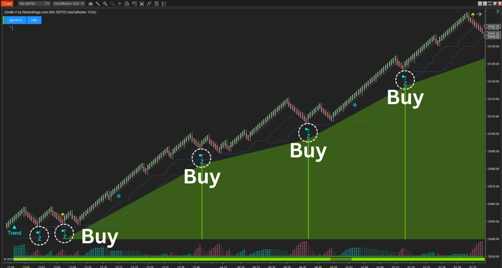 Momentum Strategy NT8 2