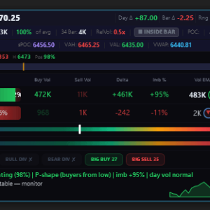 Volume AI NinjaTrader 8 NT8 1