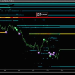 NT8 Heatmap and Footprint and Profiles 1