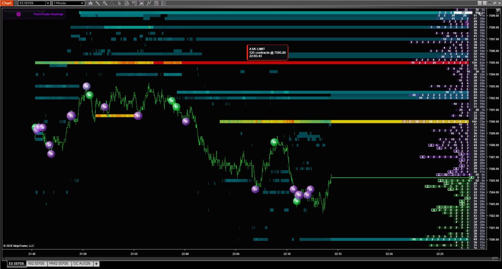 NT8 Heatmap and Footprint and Profiles 1