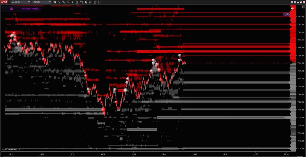 NT8 Heatmap and Footprint and Profiles 5
