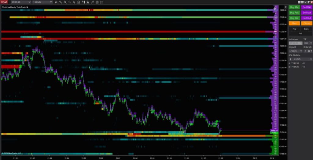 NT8 Heatmap and Footprint and Profiles 6