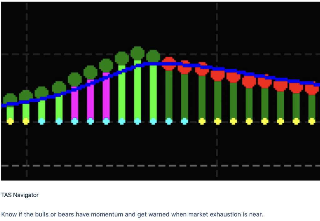 TAS Market Profile Package NT8 – NinjaTrader 8 Indicators 4